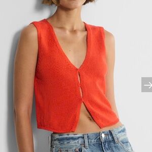 Aritzia Wilfred Basque Sweater Vest
